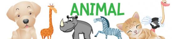 ระบายสี Animals สัตว์ต่างๆ