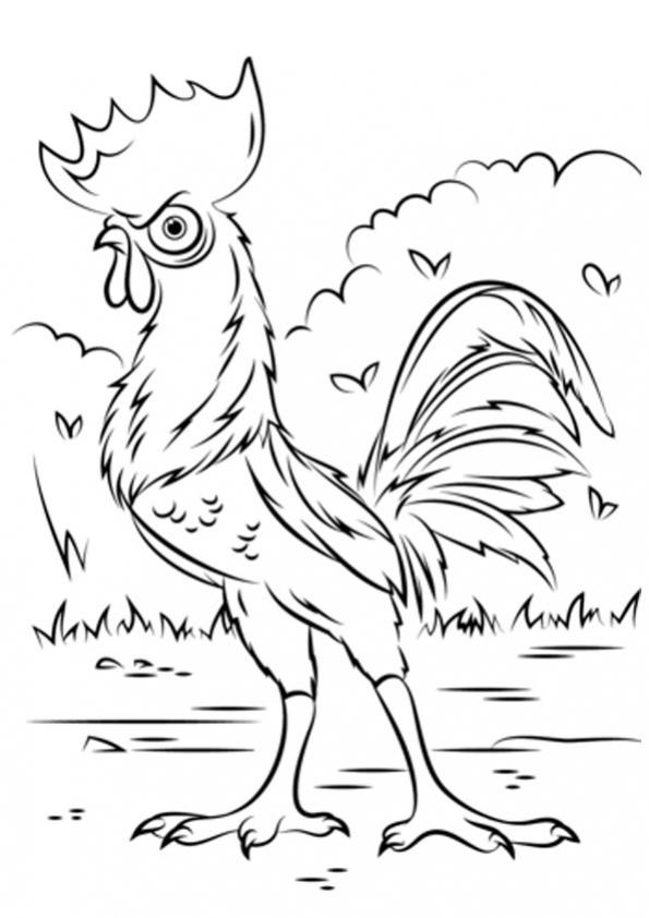 ภาพวาดระบายสีheihei rooster from moana