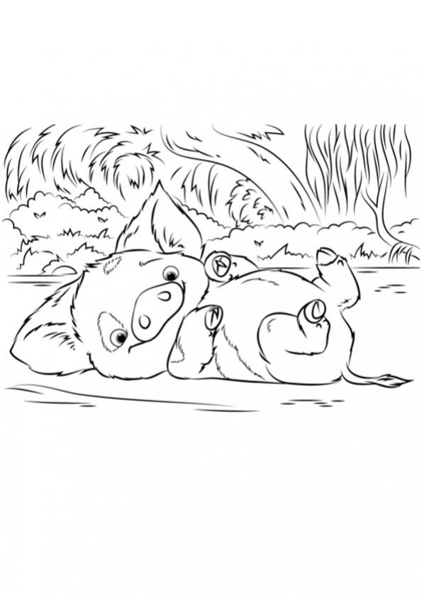 ภาพวาดระบายสีpua pet pig from moana